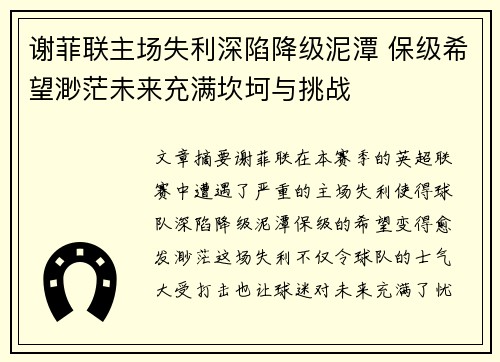谢菲联主场失利深陷降级泥潭 保级希望渺茫未来充满坎坷与挑战